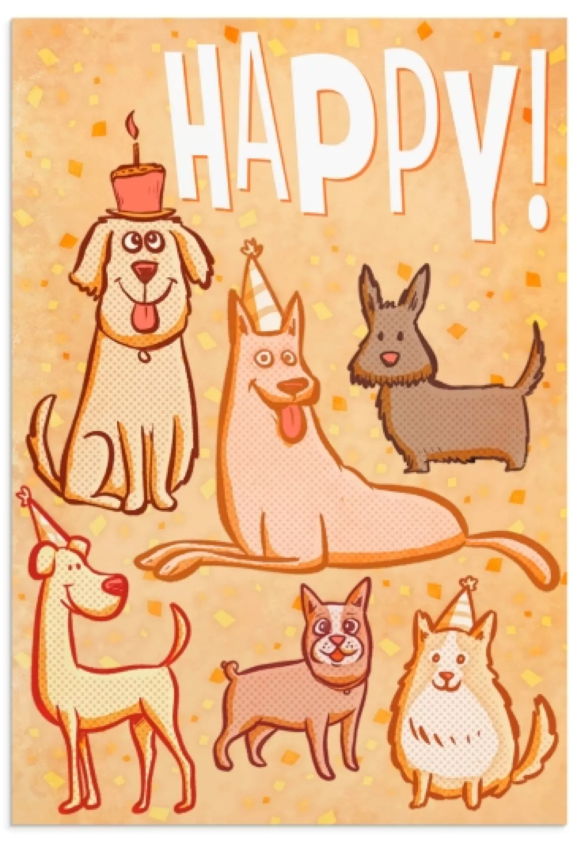 DaySpring Boxed Cards | Birthday>Birthday - Pet Party - 12 Boxed Cards, KJV