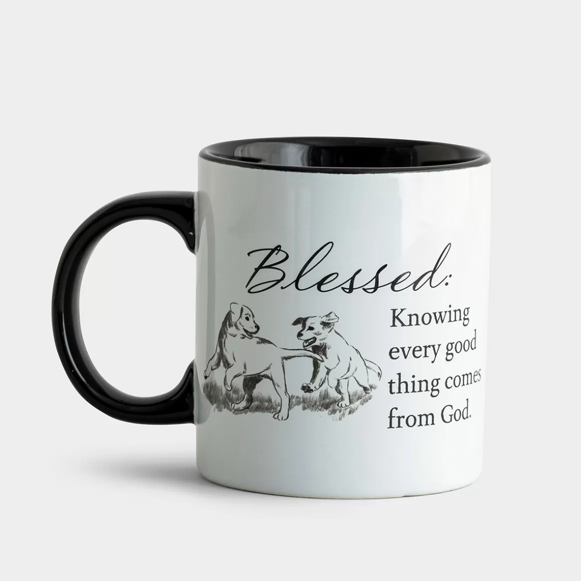 DaySpring Farmhouse Faith | Mugs & Drinkware>Blessed - Farm Fresh Faith Mug