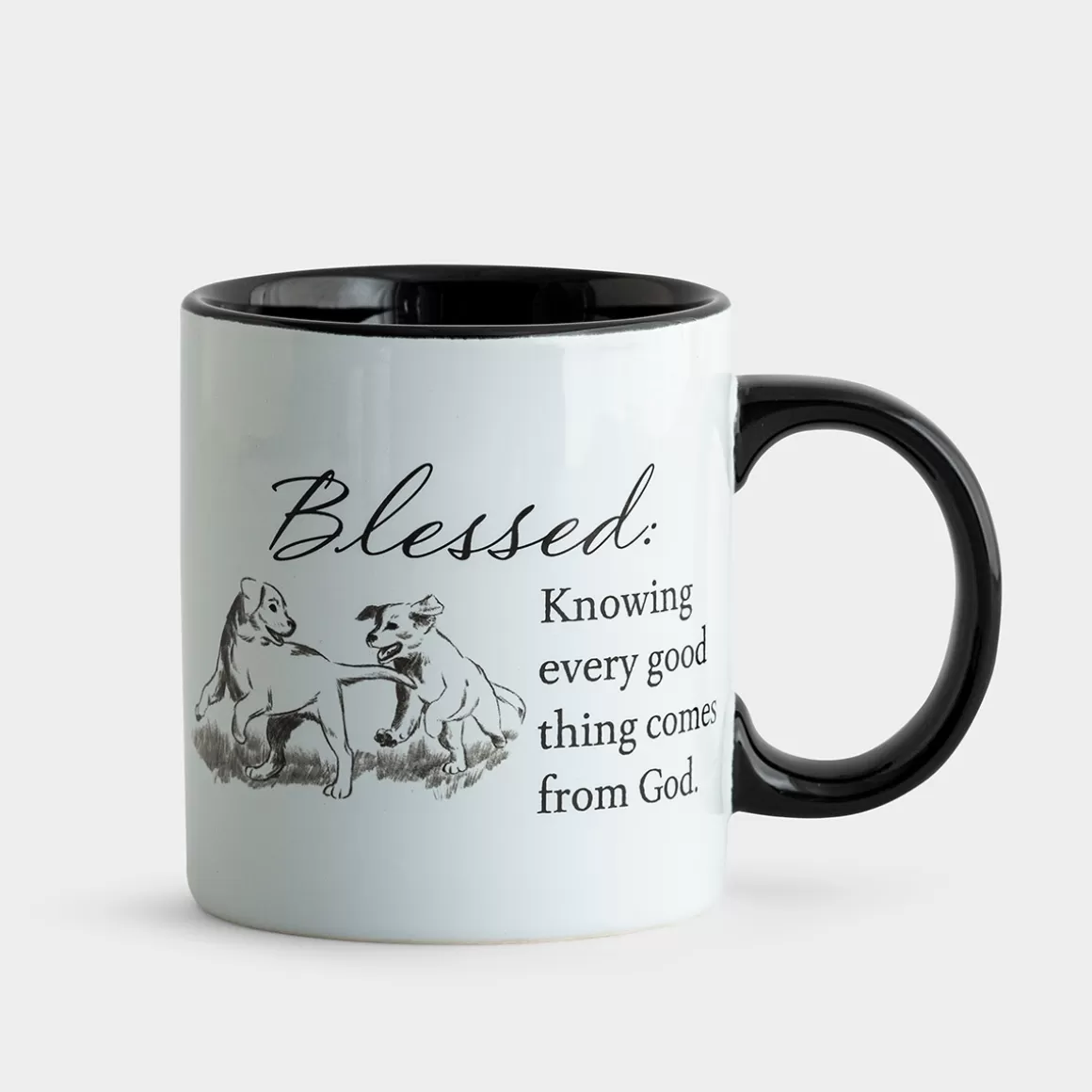 DaySpring Farmhouse Faith | Mugs & Drinkware>Blessed - Farm Fresh Faith Mug