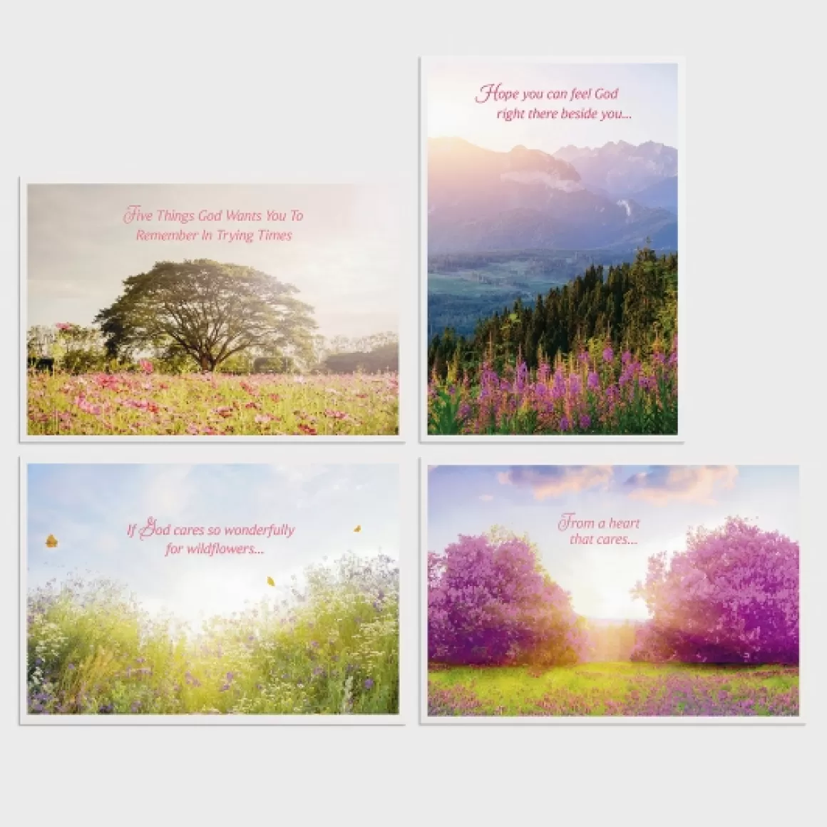 DaySpring Thinking of You | Difficult Times>Care & Concern - Trying Times - 12 Boxed Cards