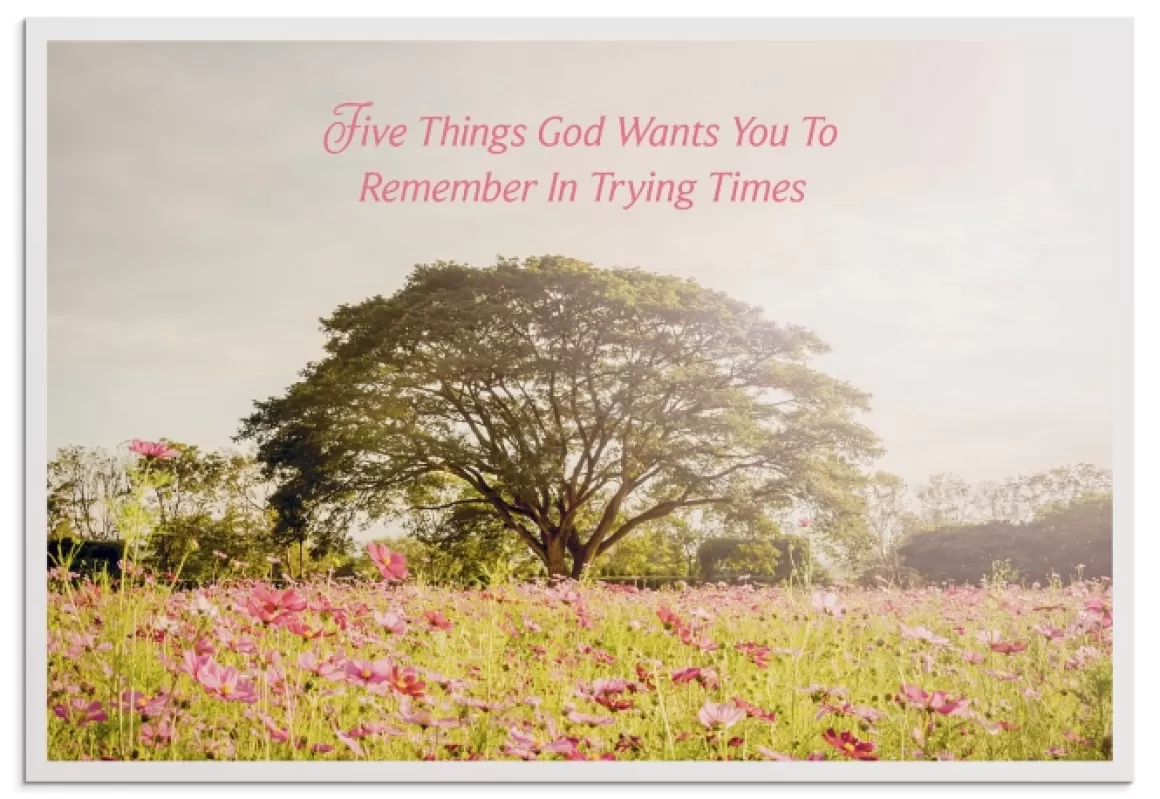 DaySpring Thinking of You | Difficult Times>Care & Concern - Trying Times - 12 Boxed Cards