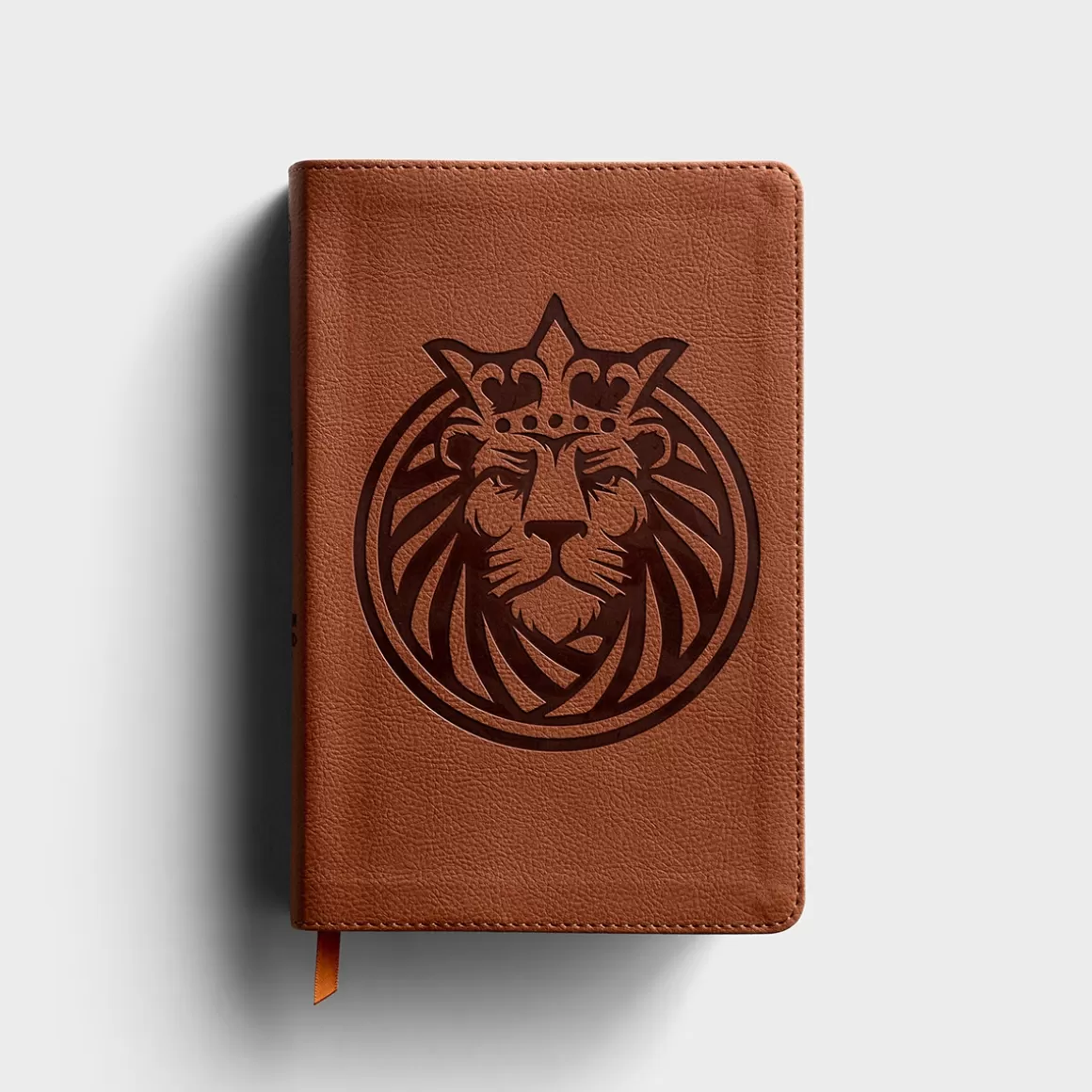 DaySpring Bibles | Children's Books>CSB Kids Bible - Lion LeatherTouch