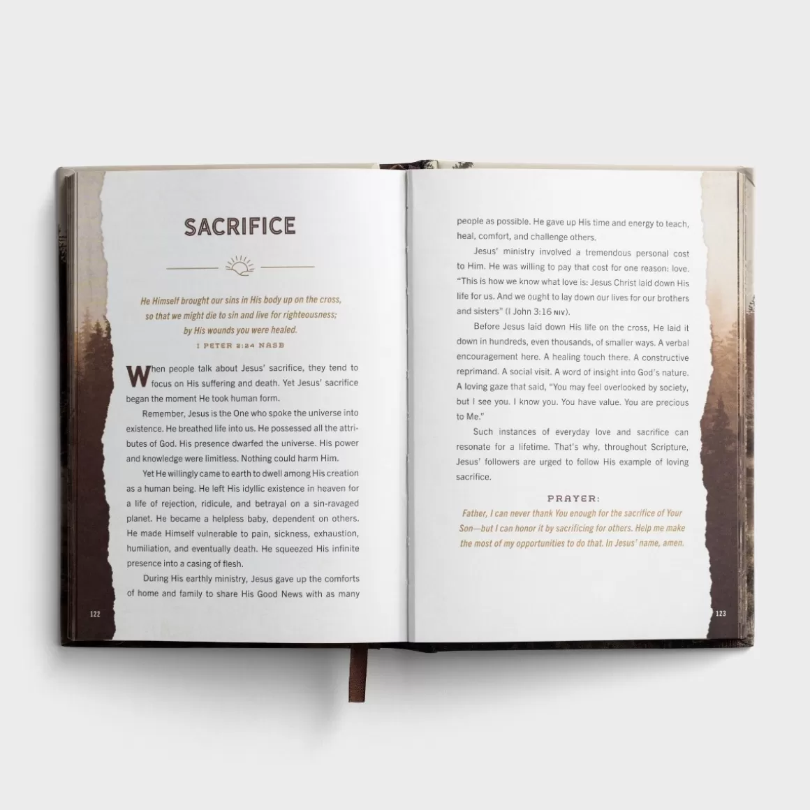 DaySpring Devotionals | Books>Designed for Greatness: Devotions for Men