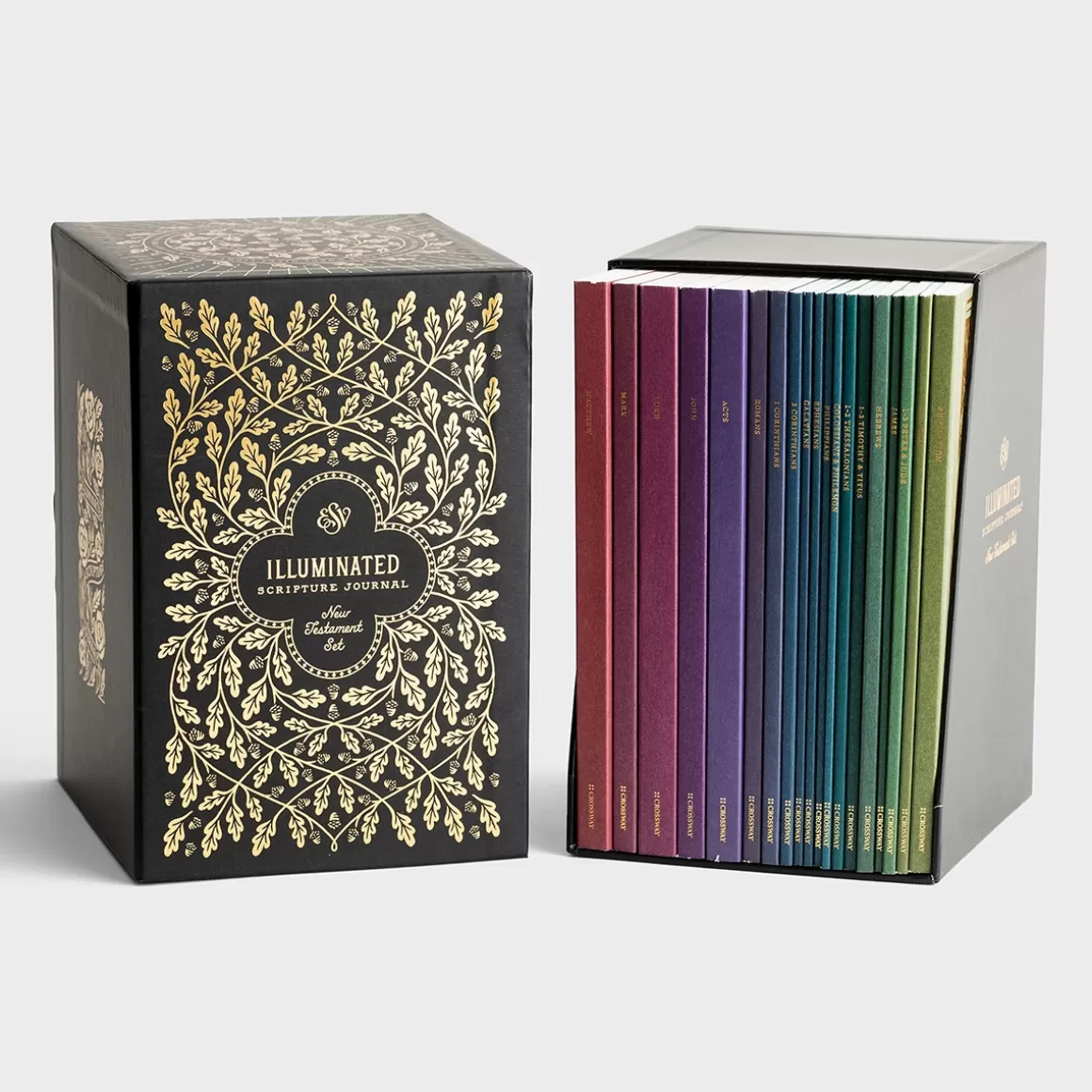 DaySpring Bibles | Gift Sets>ESV Illuminated Scripture Journal - New Testament Set