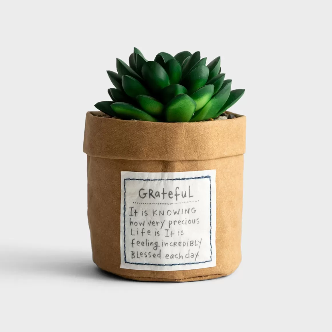 DaySpring Gifts for Coworkers | Gifts for Friends>Faux Succulent - Grateful