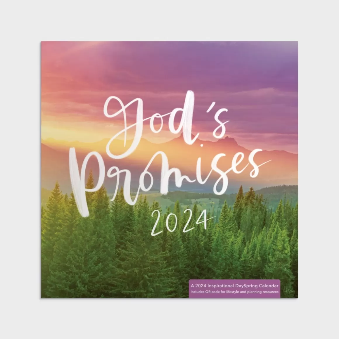 DaySpring Calendars & Planners>God's Promises 2024 Wall Calendar