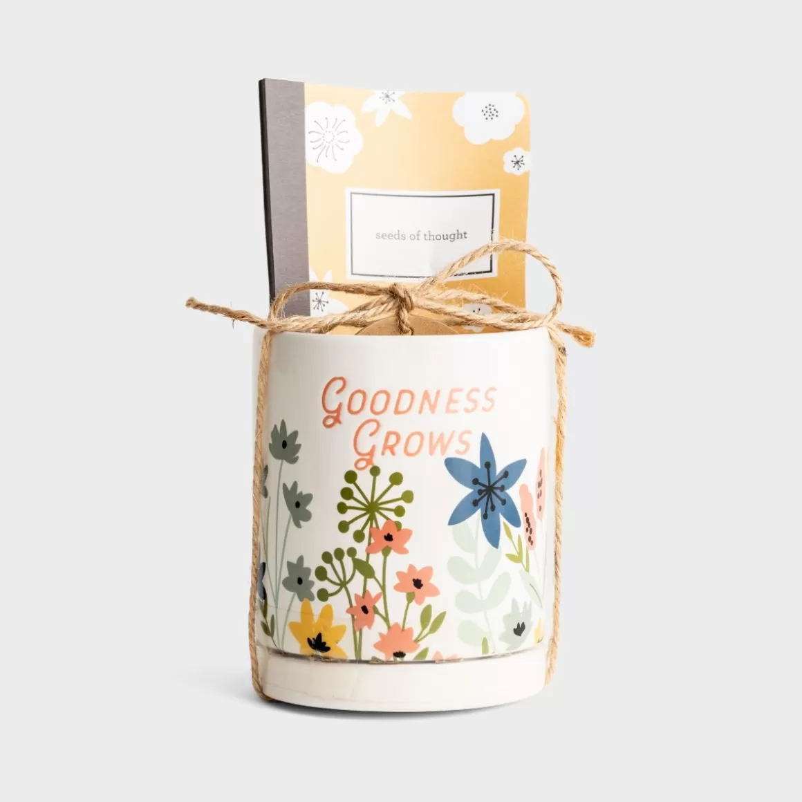 DaySpring Office & Desktop | Gifts for Friends>Goodness Grows - Planter & Journal Gift Set