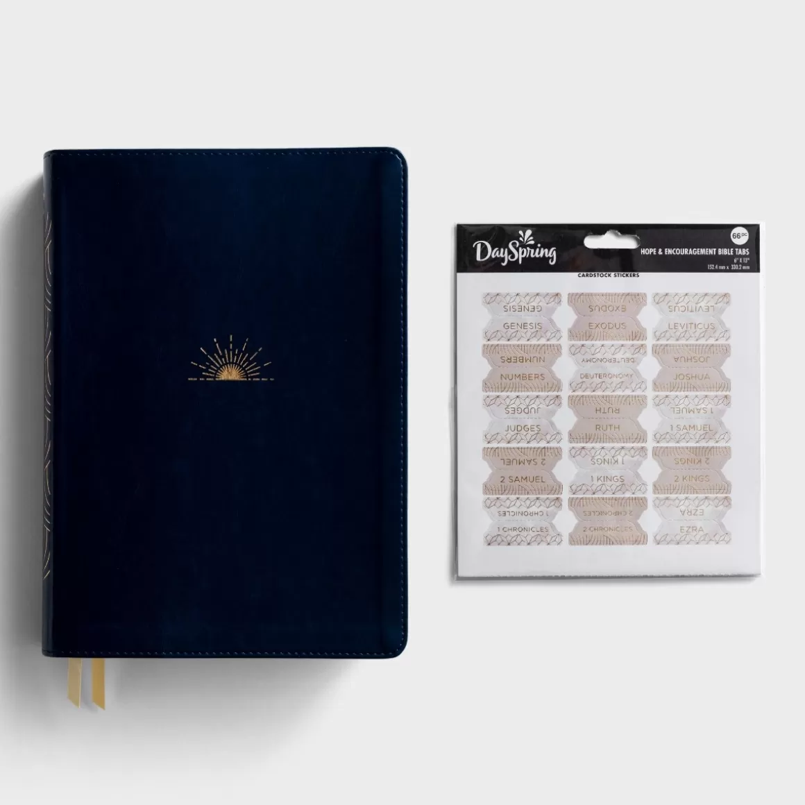 DaySpring Gift Sets>Hope & Encouragement - Bible and Bible Tabs - Gift Set