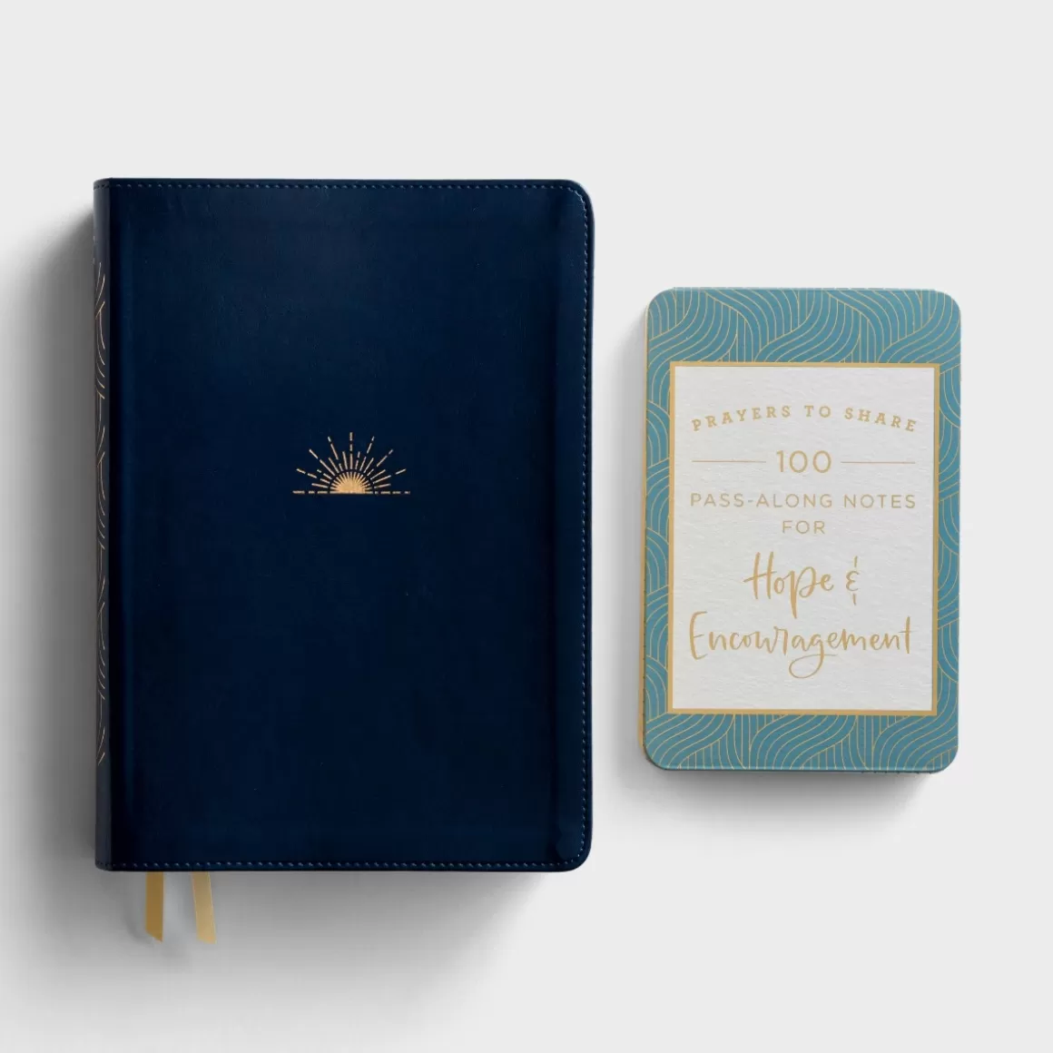 DaySpring Gift Sets>Hope & Encouragement - Bible and Notes - Gift Set