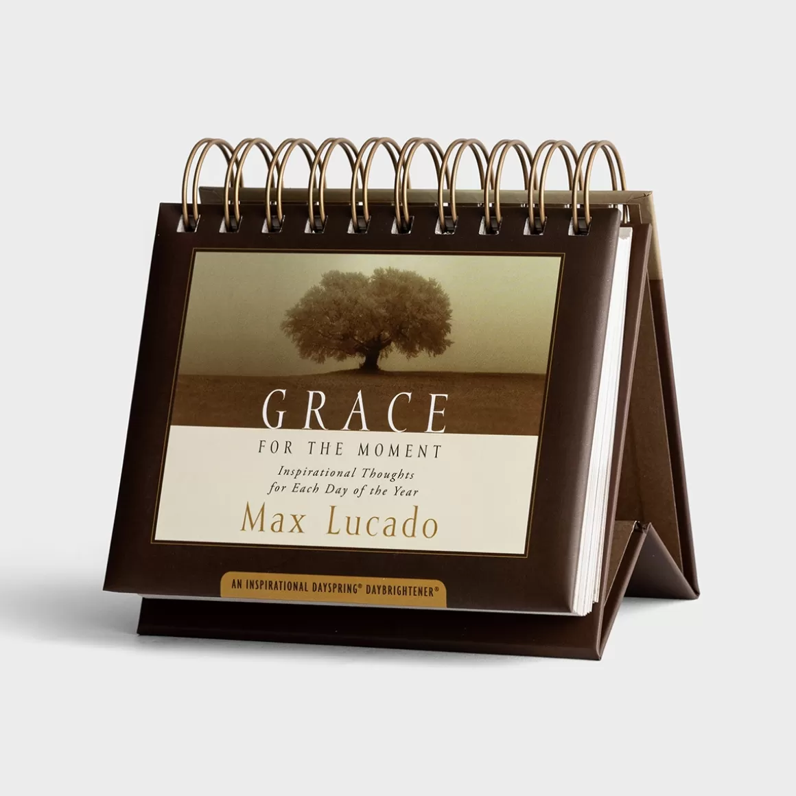 DaySpring DayBrighteners>Max Lucado - Grace For The Moment - Perpetual Calendar