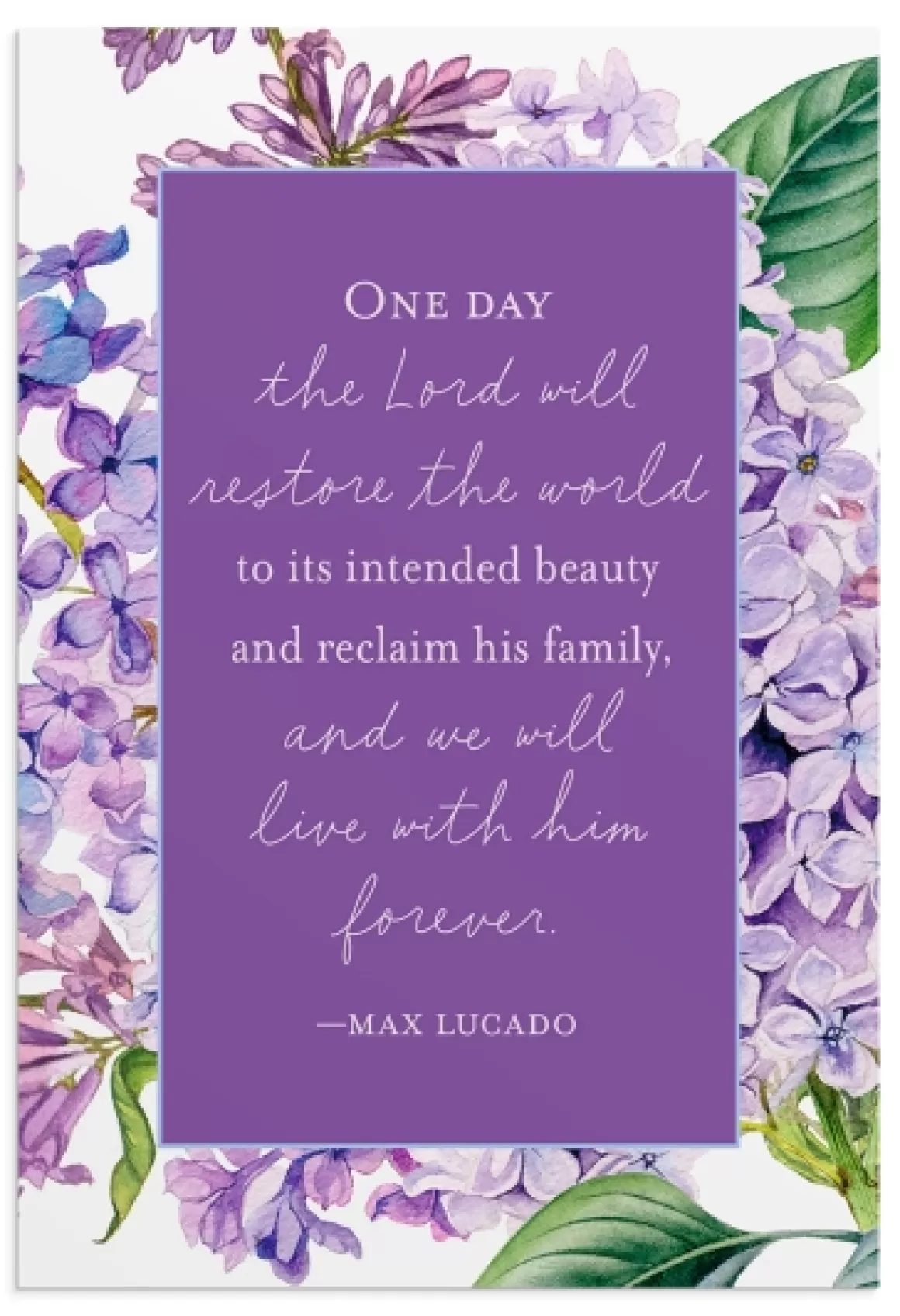 DaySpring Boxed Cards | Sympathy>Max Lucado - Sympathy - 12 Boxed Cards