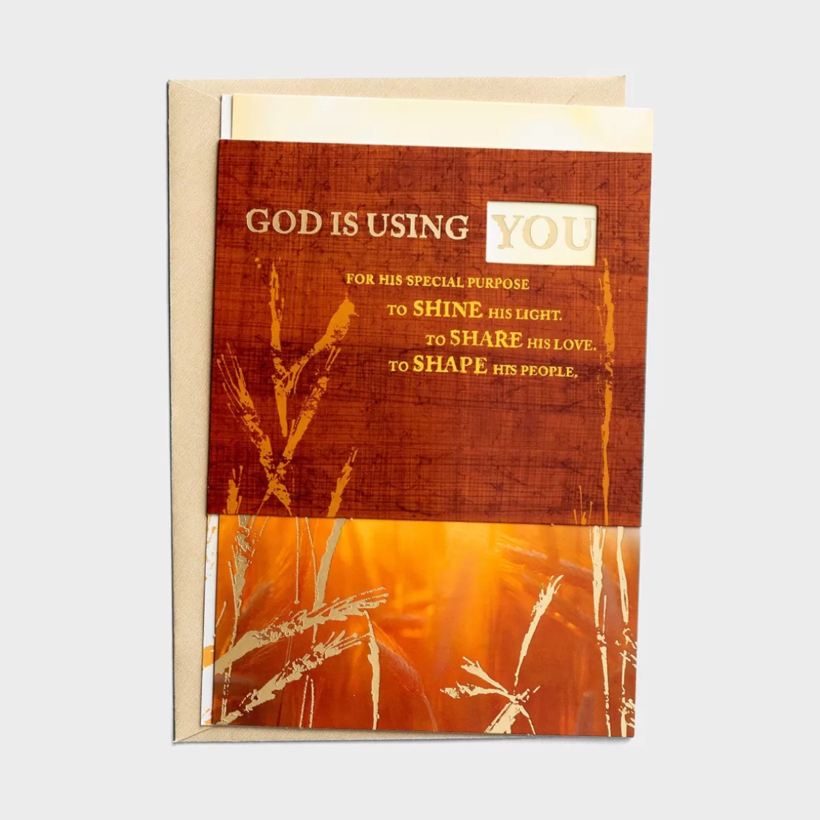 DaySpring Greeting Cards>Ministry Appreciation - God Is Using You - 1 Premium Card