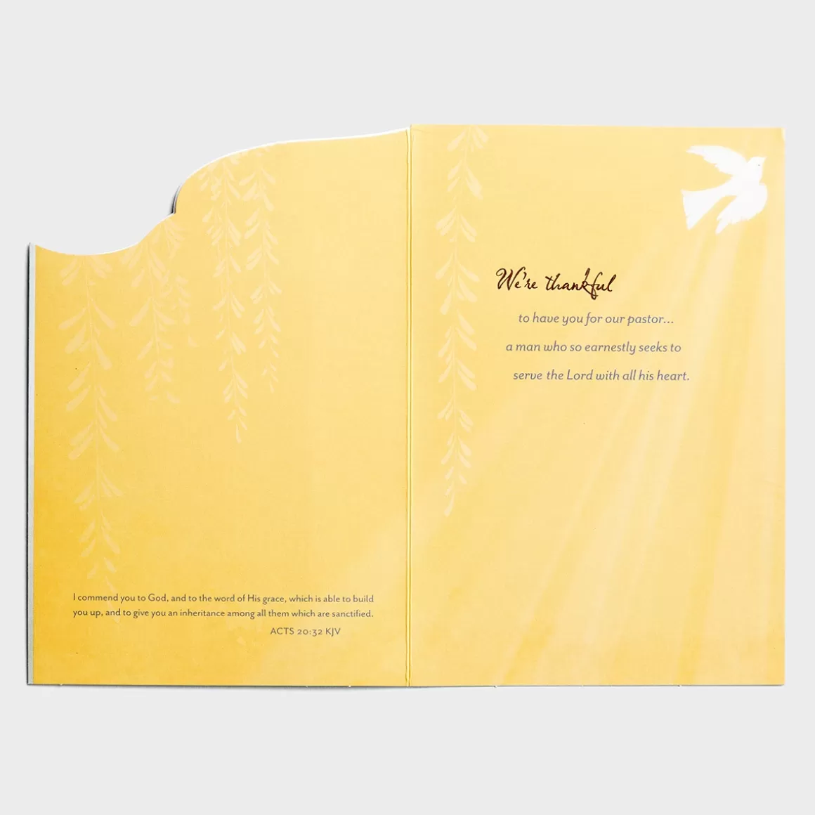 DaySpring Greeting Cards>Ministry Appreciation - We're Thankful - 1 Premium Card, KJV