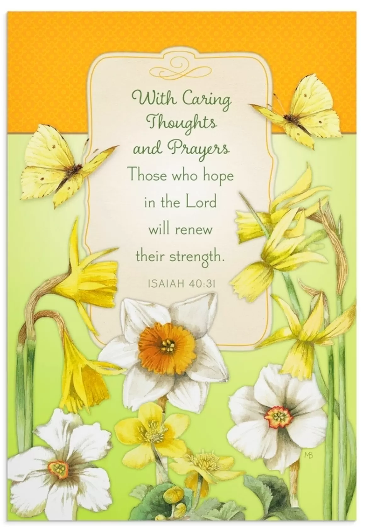 DaySpring Boxed Cards>Nature's Blessing - Get Well - 12 Boxed Cards