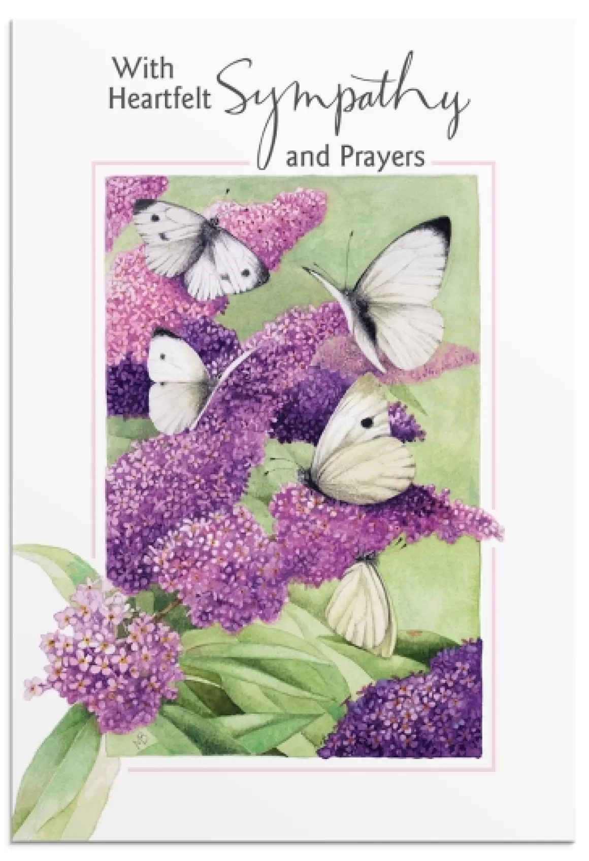 DaySpring Sympathy | Boxed Cards>Nature's Blessings - Sympathy - Butterflies - 12 Boxed Cards