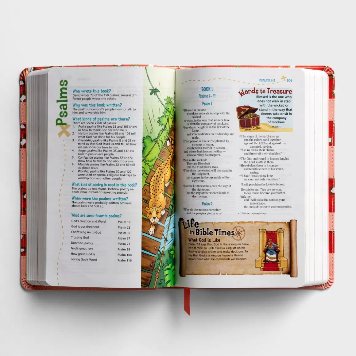 DaySpring Bibles | Children's Books>NIV - Coral Adventure Bible