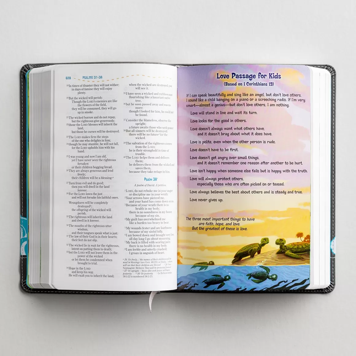 DaySpring Bibles | Children's Books>NIV Adventure Bible, Gray