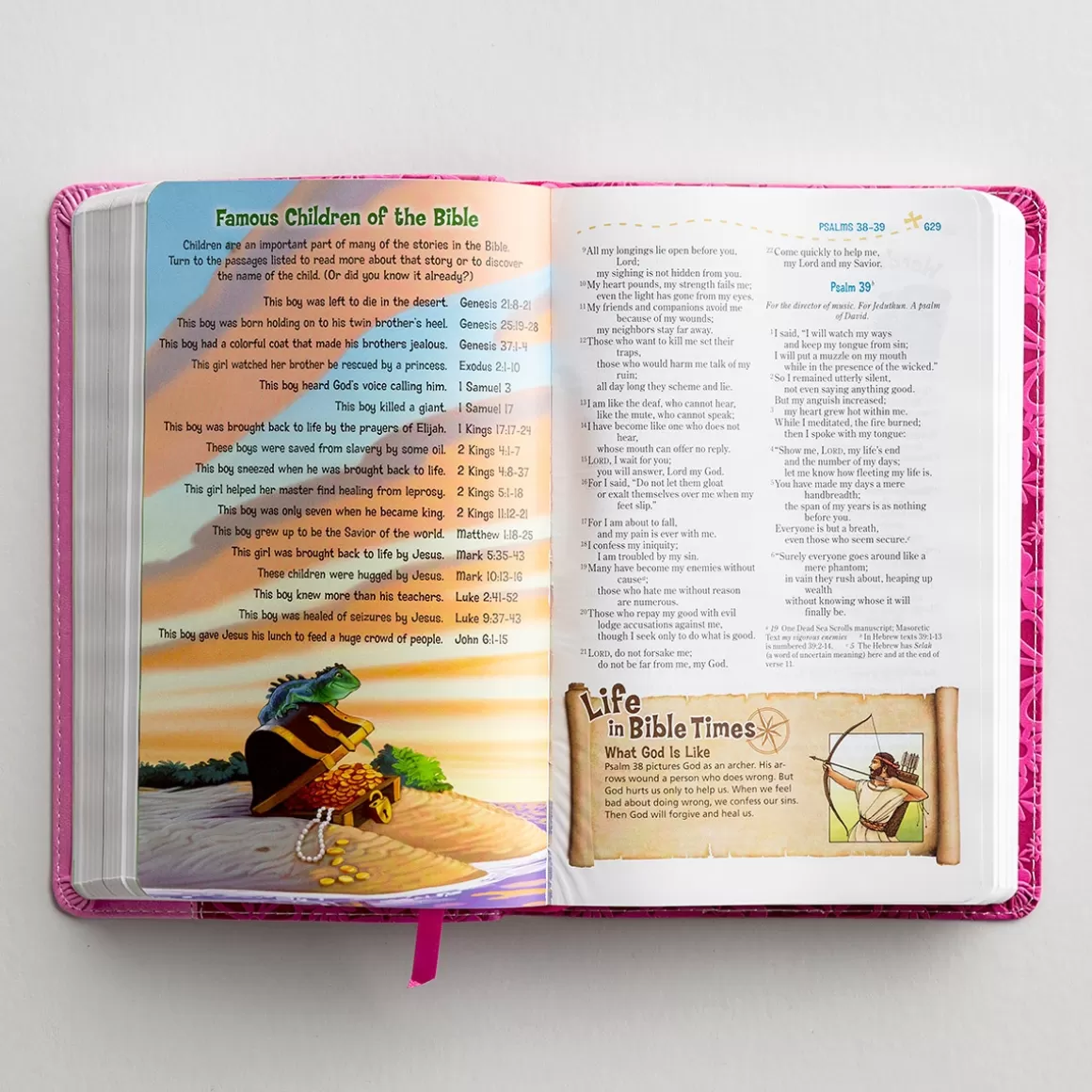 DaySpring Bibles | Children's Books>NIV Adventure Bible, Pink