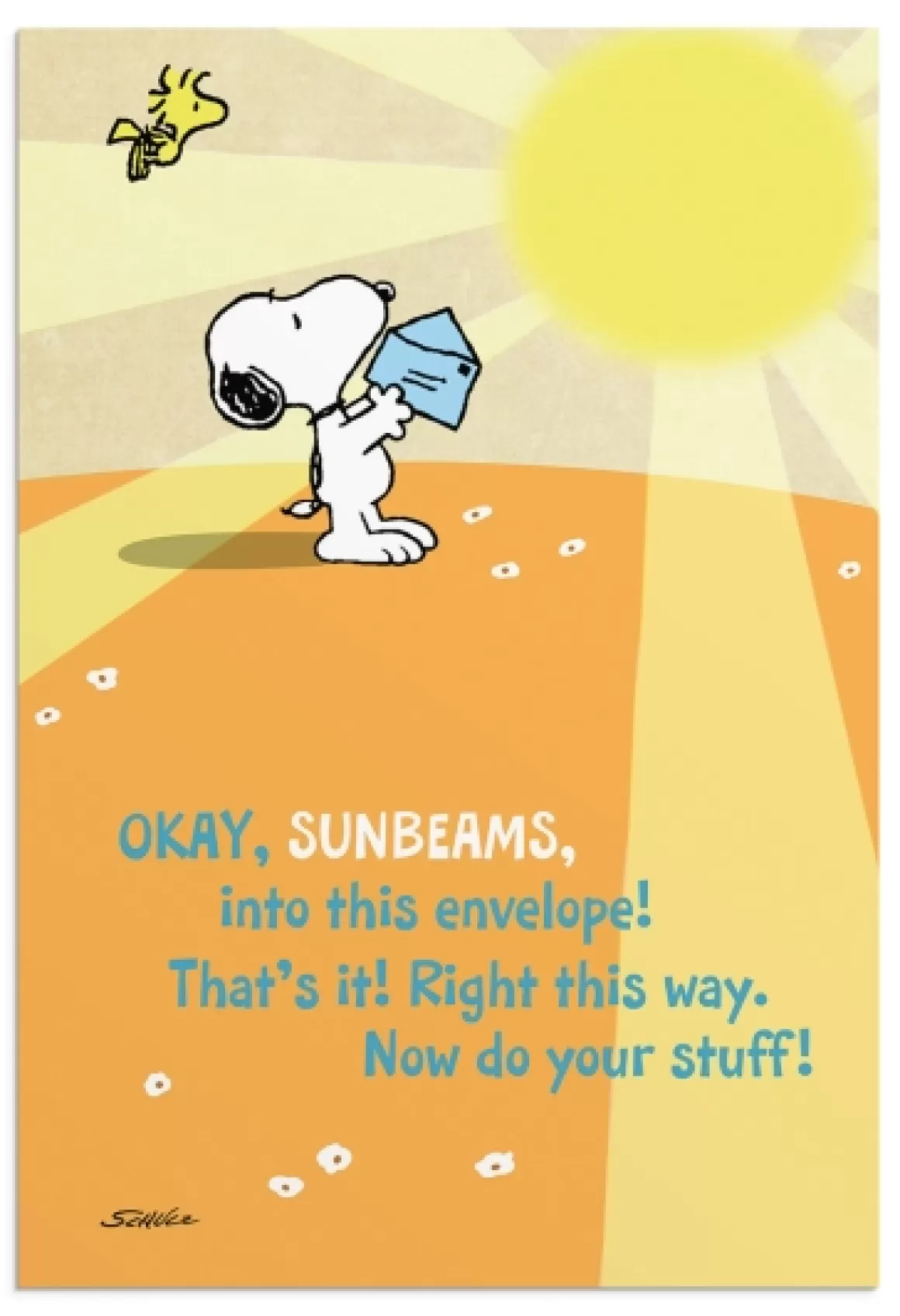 DaySpring Boxed Cards | Peanuts>Peanuts® - Get Well - 12 Boxed Cards