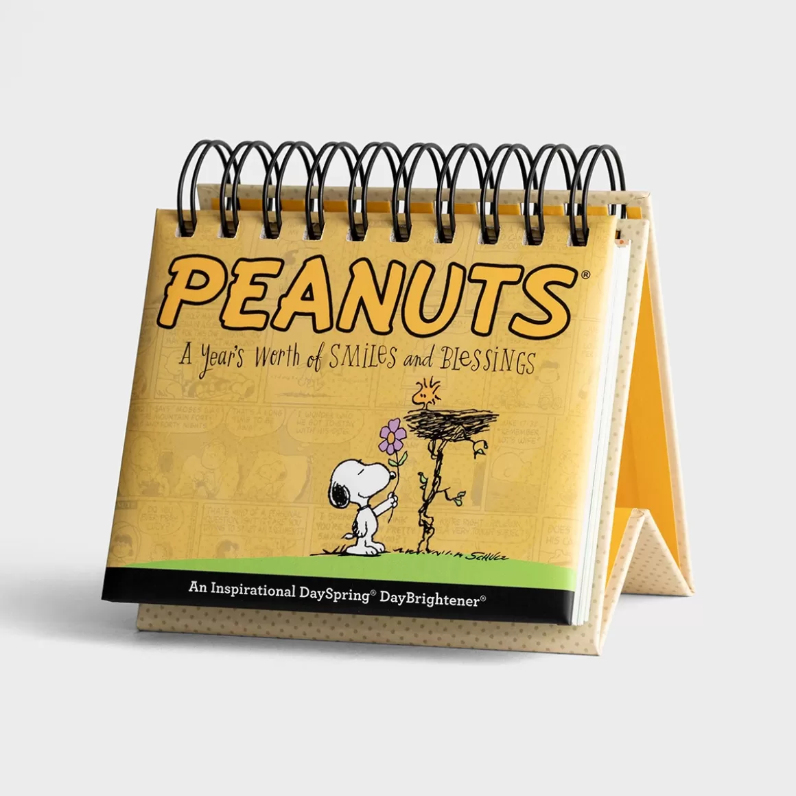 DaySpring DayBrighteners>Peanuts - Smiles and Blessings - Perpetual Calendar