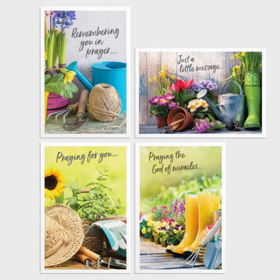 DaySpring Difficult Times | Praying for You - Difficult Times>Praying for You - Gardening - 12 Boxed Cards, KJV