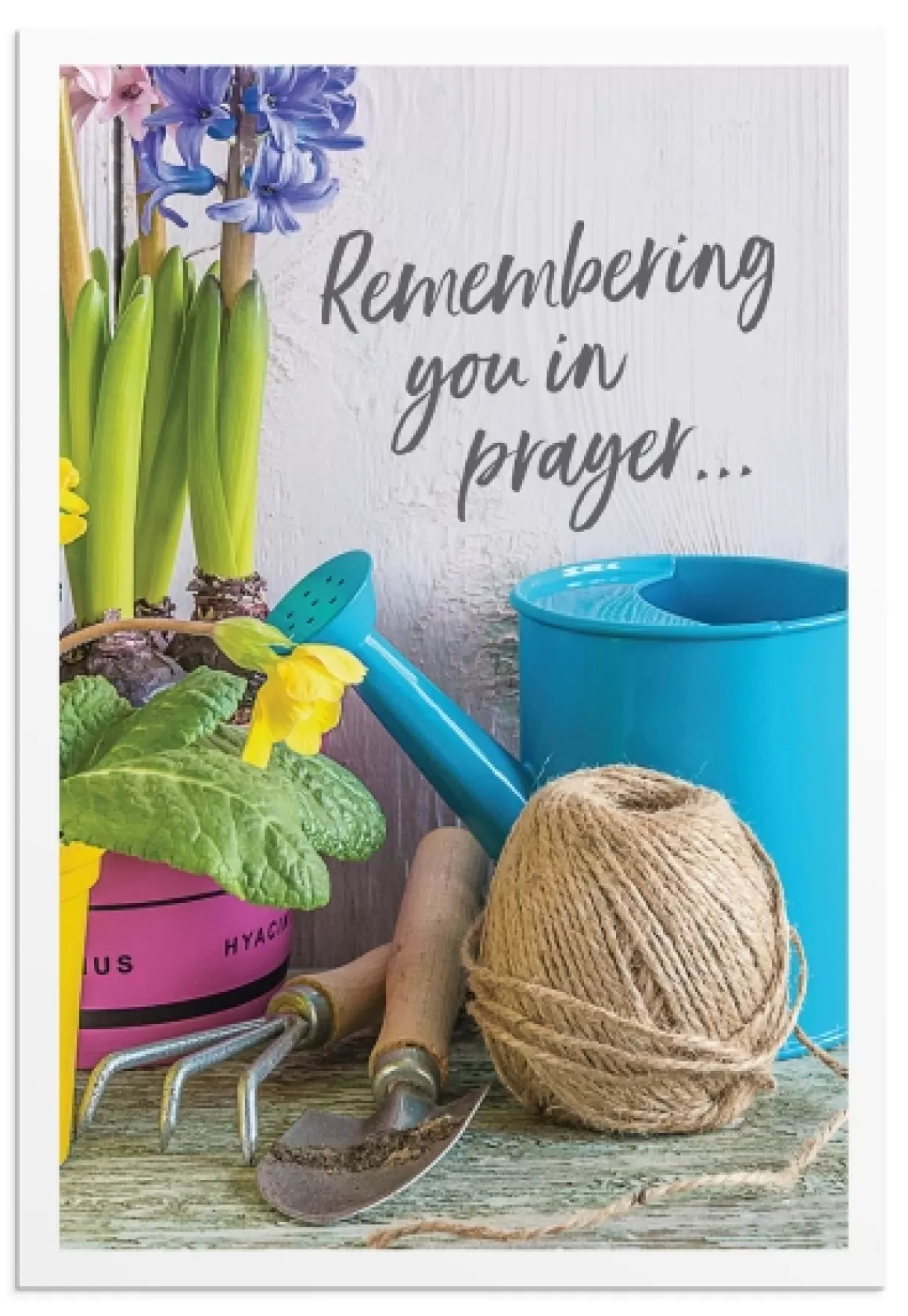 DaySpring Difficult Times | Praying for You - Difficult Times>Praying for You - Gardening - 12 Boxed Cards, KJV