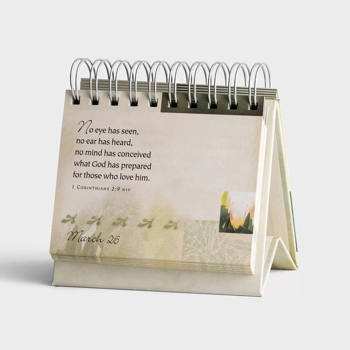 DaySpring DayBrighteners>Promises & Blessings - 365 Day Perpetual Calendar