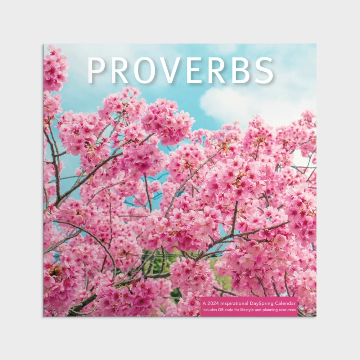 DaySpring Calendars & Planners>Proverbs 2024 Wall Calendar