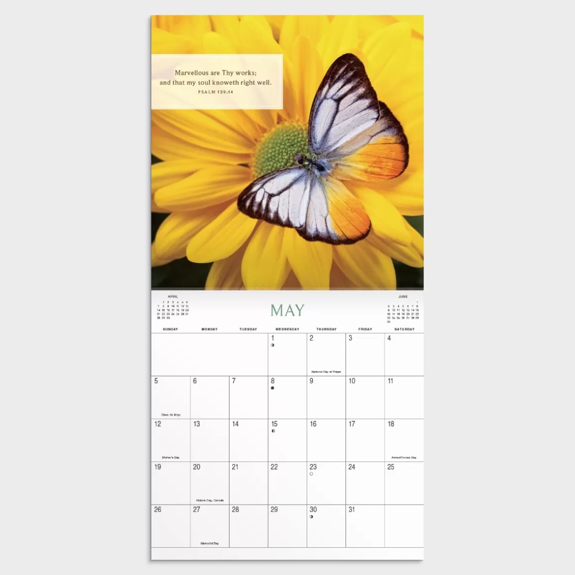 DaySpring Calendars & Planners>Psalms Pink Poppies 2024 Wall Calendar