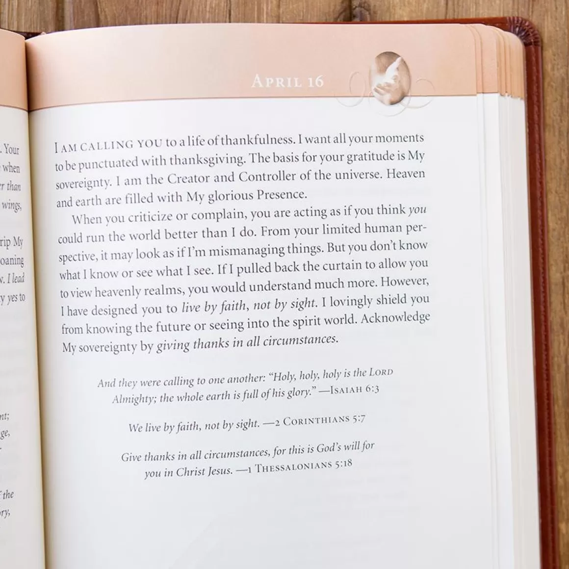 DaySpring Devotionals | Difficult Times>Sarah Young - Jesus Calling - Large Deluxe Edition