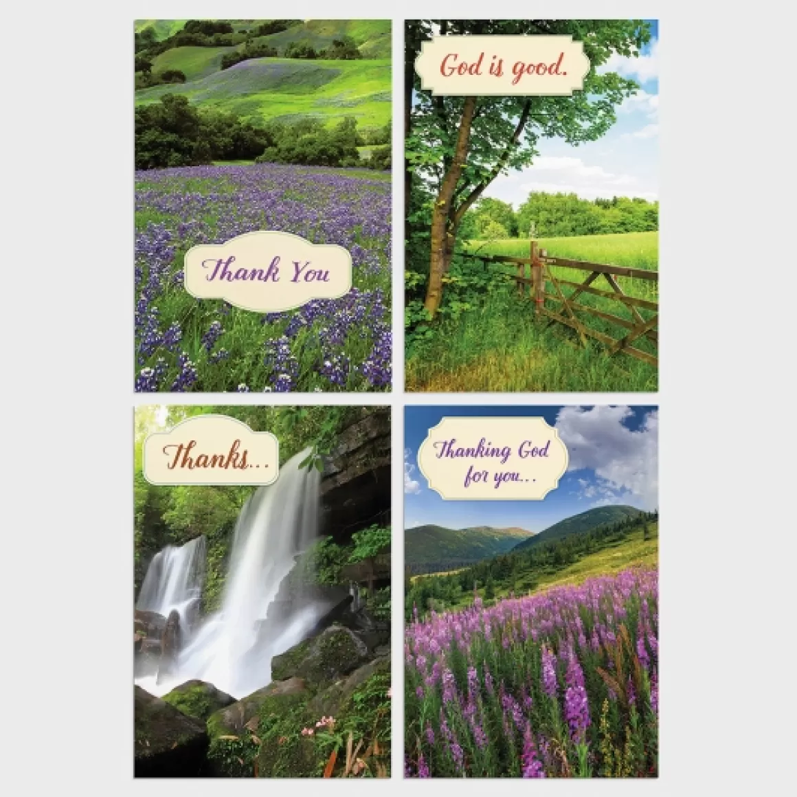 DaySpring Boxed Cards>Thank You - Landscapes - 12 Boxed Cards, KJV