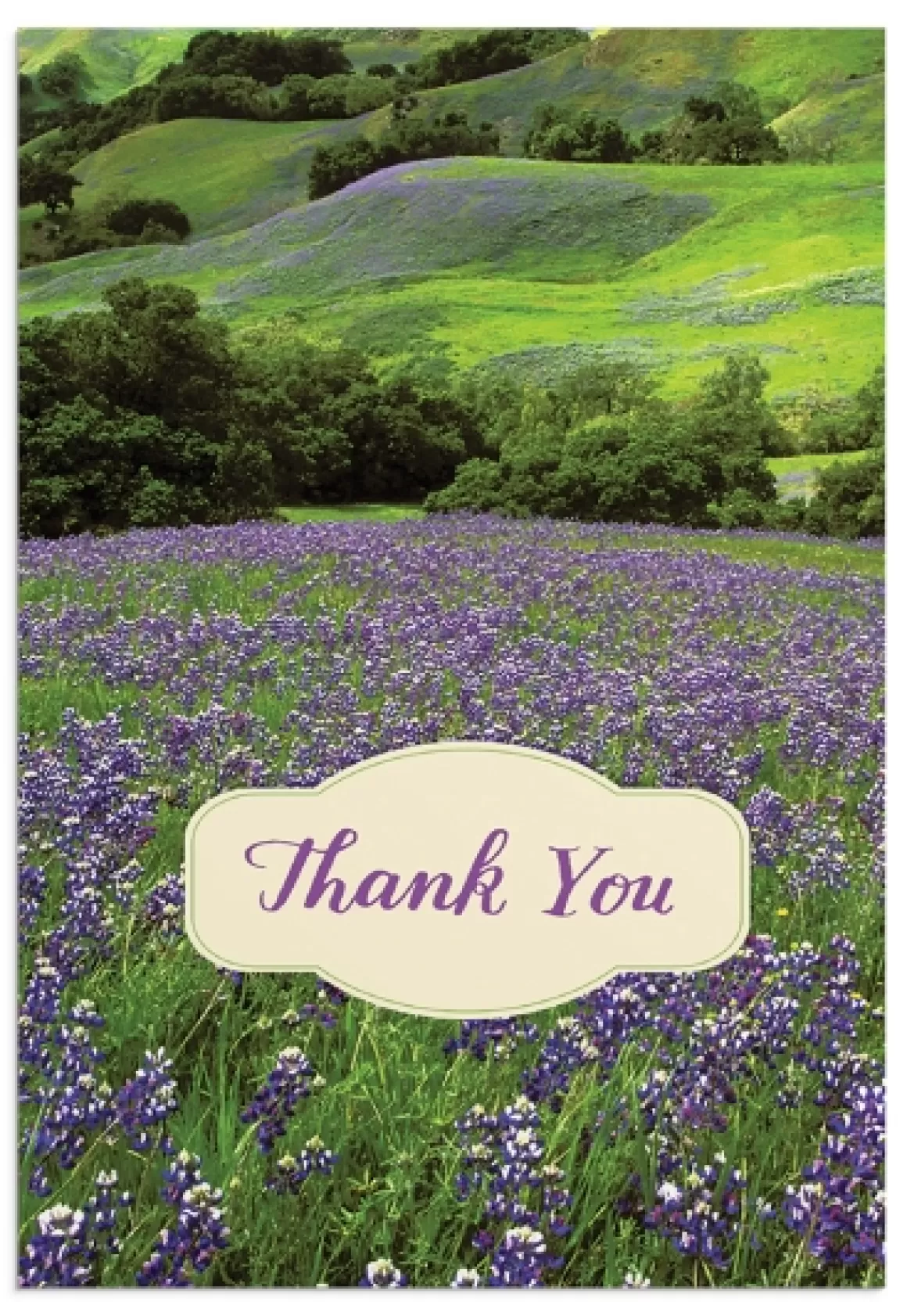 DaySpring Boxed Cards>Thank You - Landscapes - 12 Boxed Cards, KJV