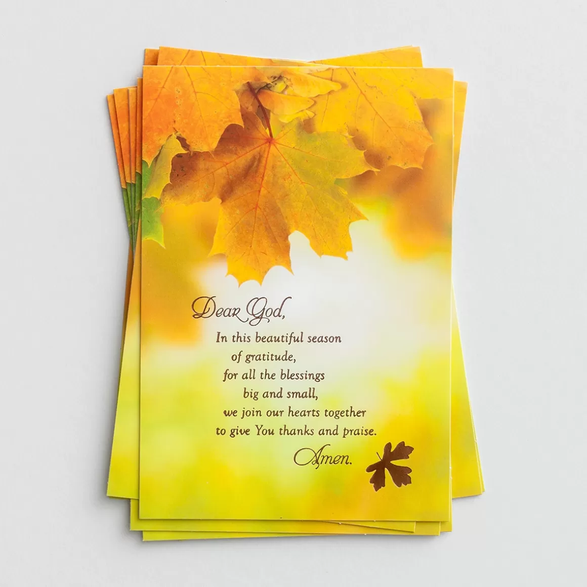 DaySpring Greeting Cards>Thanksgiving - Beautiful Season of Gratitude - 8 Note Cards