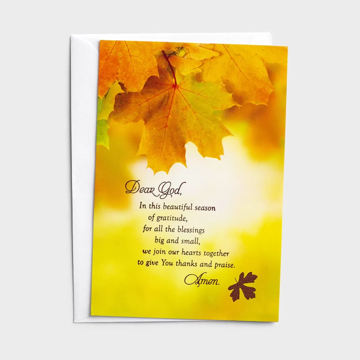 DaySpring Greeting Cards>Thanksgiving - Beautiful Season of Gratitude - 8 Note Cards