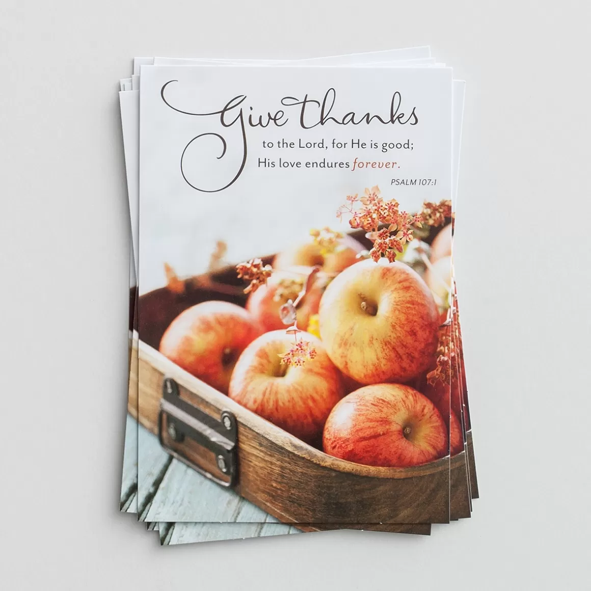 DaySpring Greeting Cards>Thanksgiving - Give Thanks - 8 Note Cards