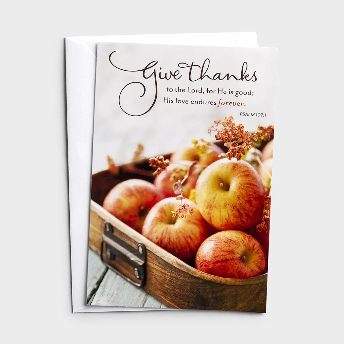 DaySpring Greeting Cards>Thanksgiving - Give Thanks - 8 Note Cards