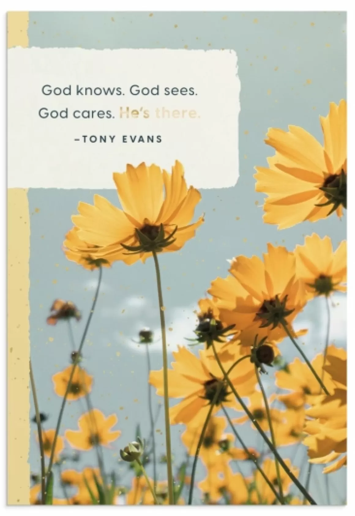 DaySpring Encouragement | Tony Evans>Tony Evans - Encouragement - He's There - 3 Premium Cards