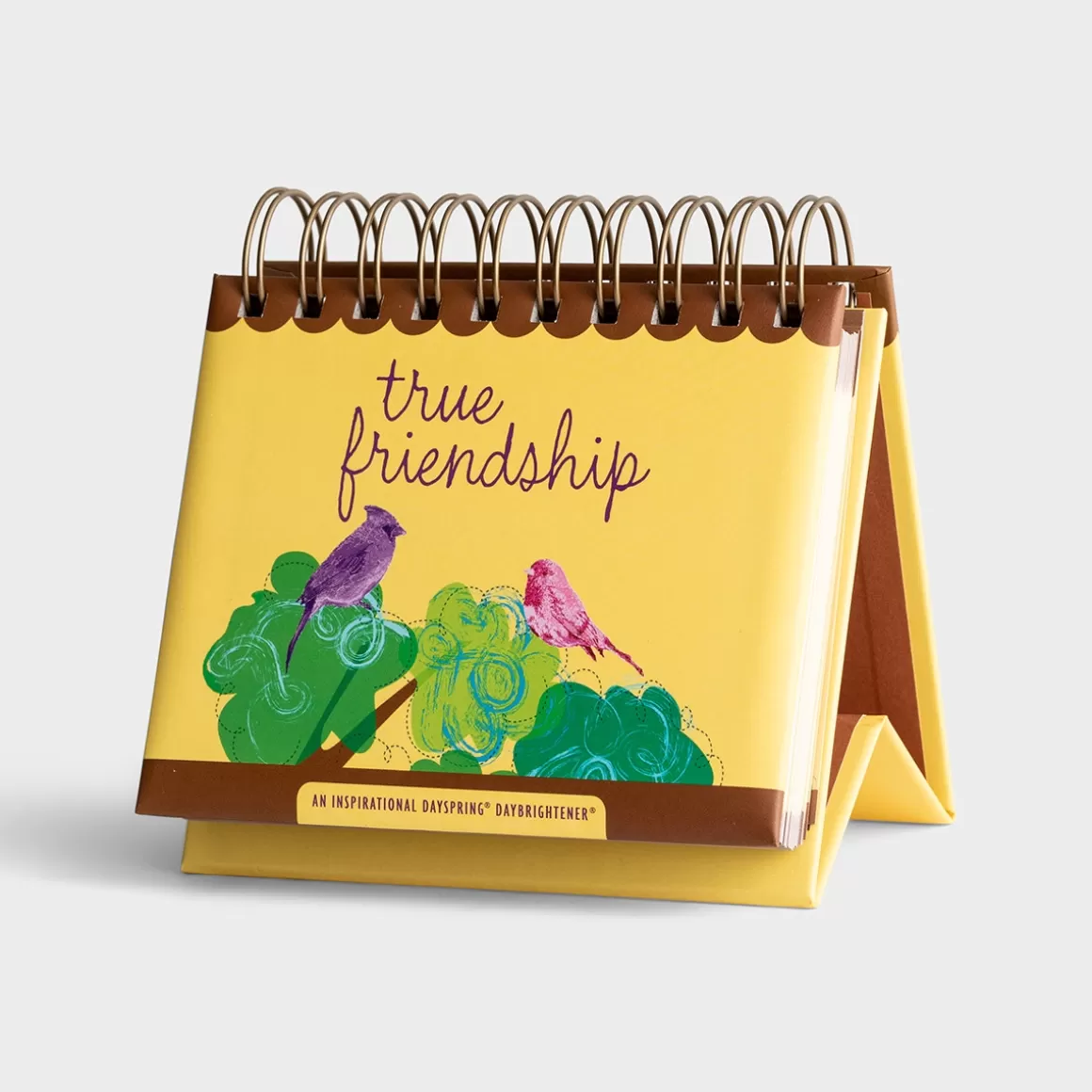 DaySpring DayBrighteners>True Friendship - 365 Day Perpetual Calendar