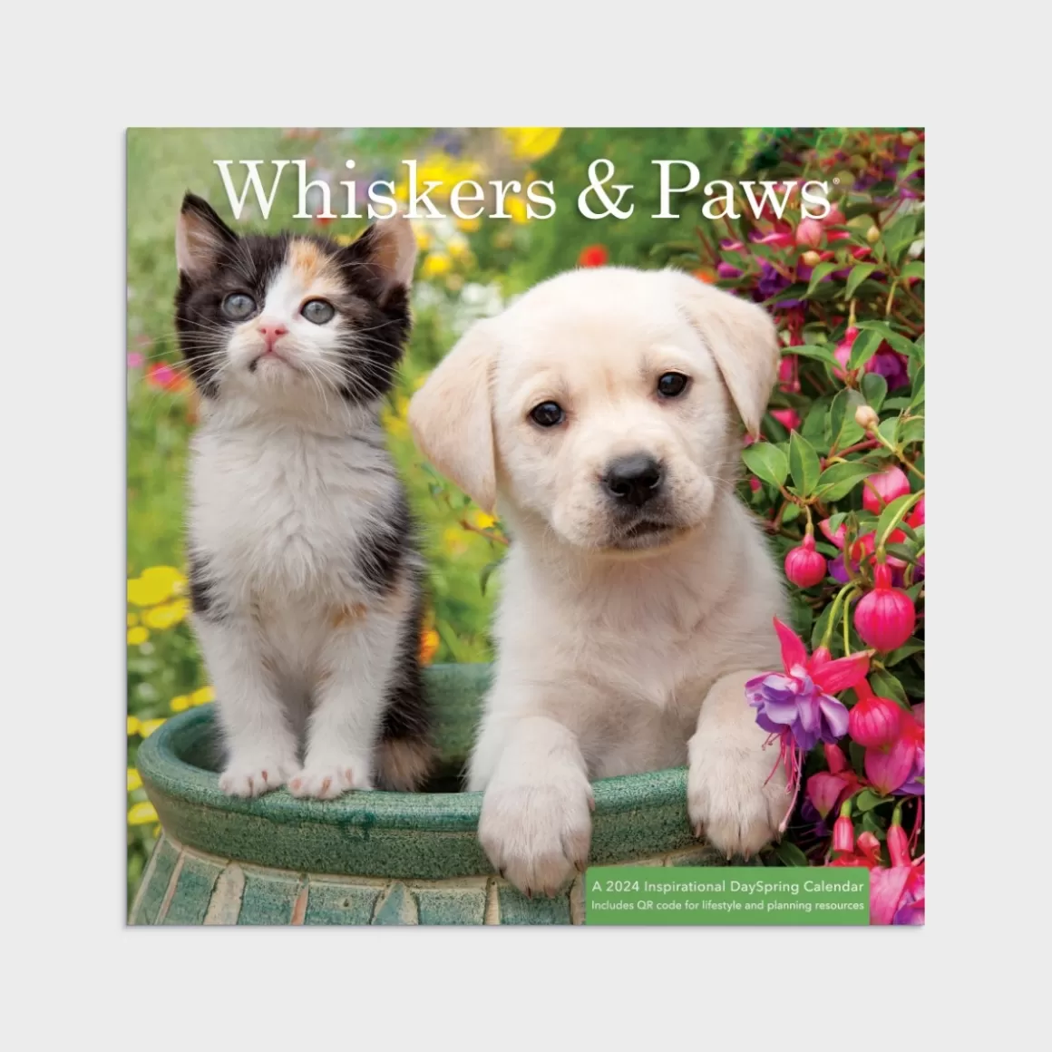 DaySpring Calendars & Planners>Whisker & Paws 2024 Wall Calendar