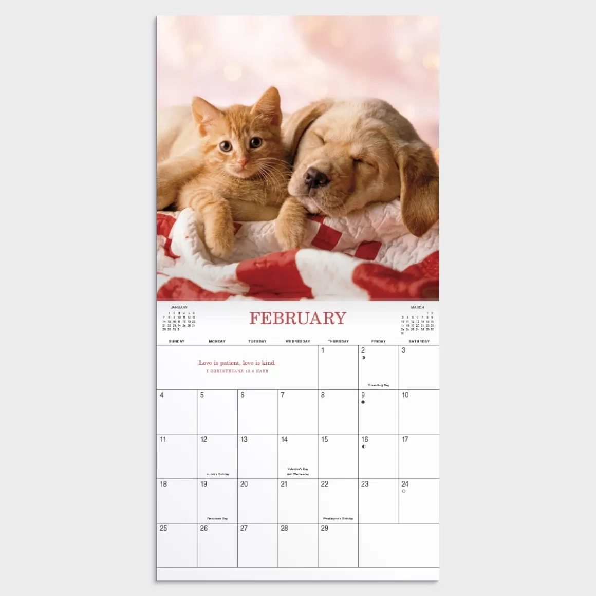 DaySpring Calendars & Planners>Whisker & Paws 2024 Wall Calendar