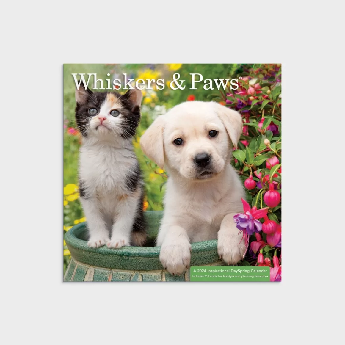 DaySpring Calendars & Planners>Whisker & Paws Mini 2024 Wall Calendar