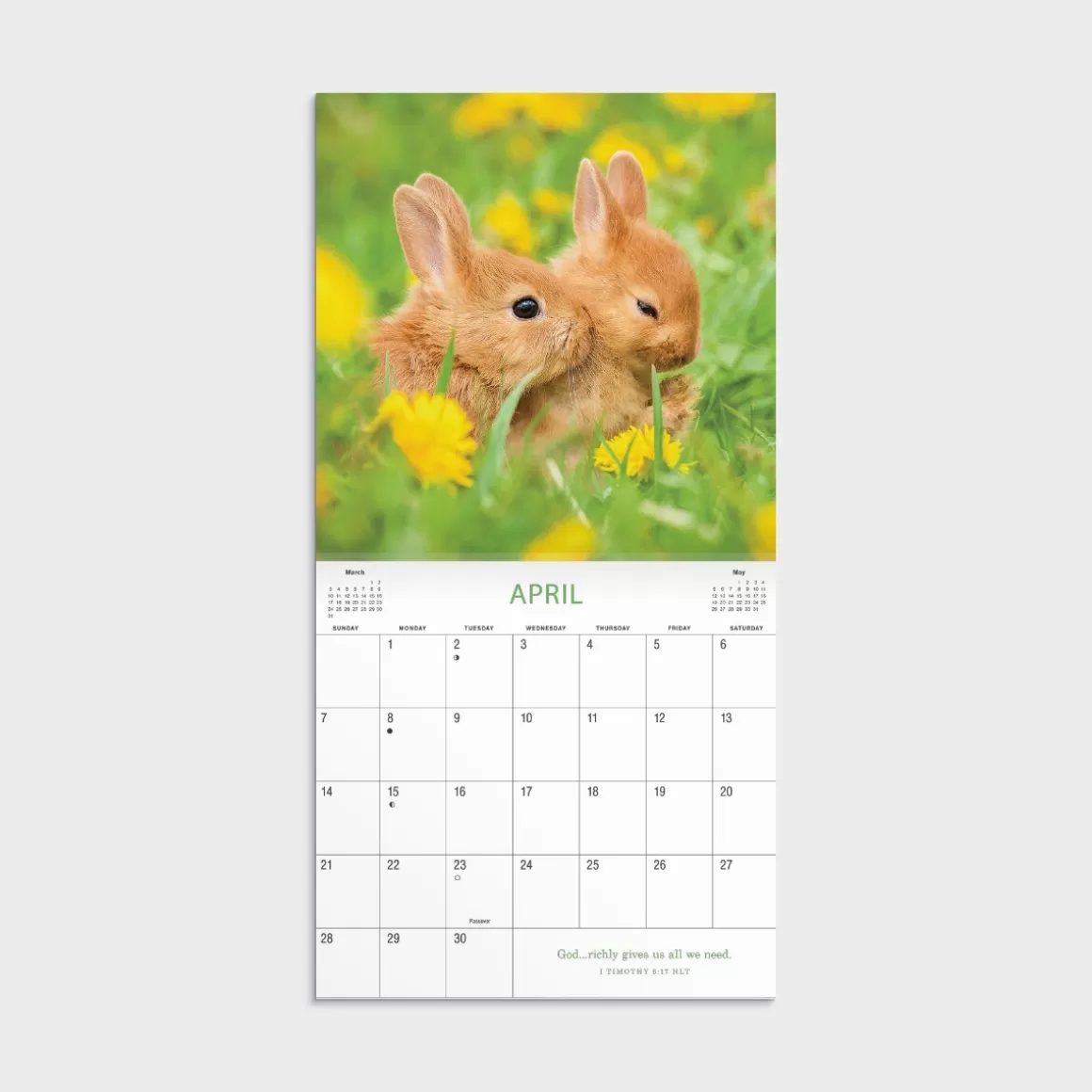 DaySpring Calendars & Planners>Whisker & Paws Mini 2024 Wall Calendar